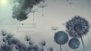 中国风水墨蒲公英背景视频的预览图